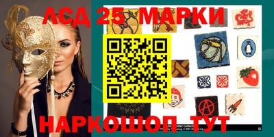 гидропоника Нальчик